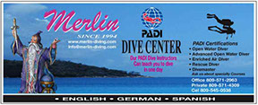dive _center